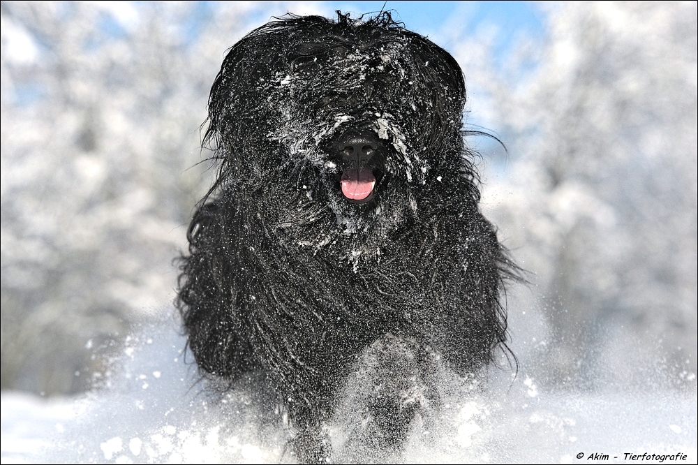 Winterfreude...