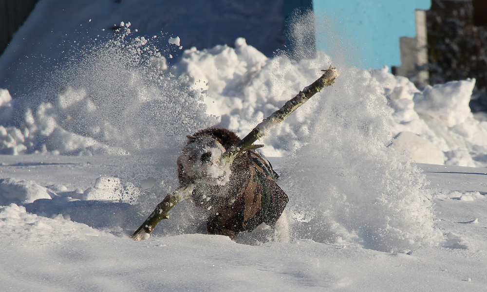 Winterfreude