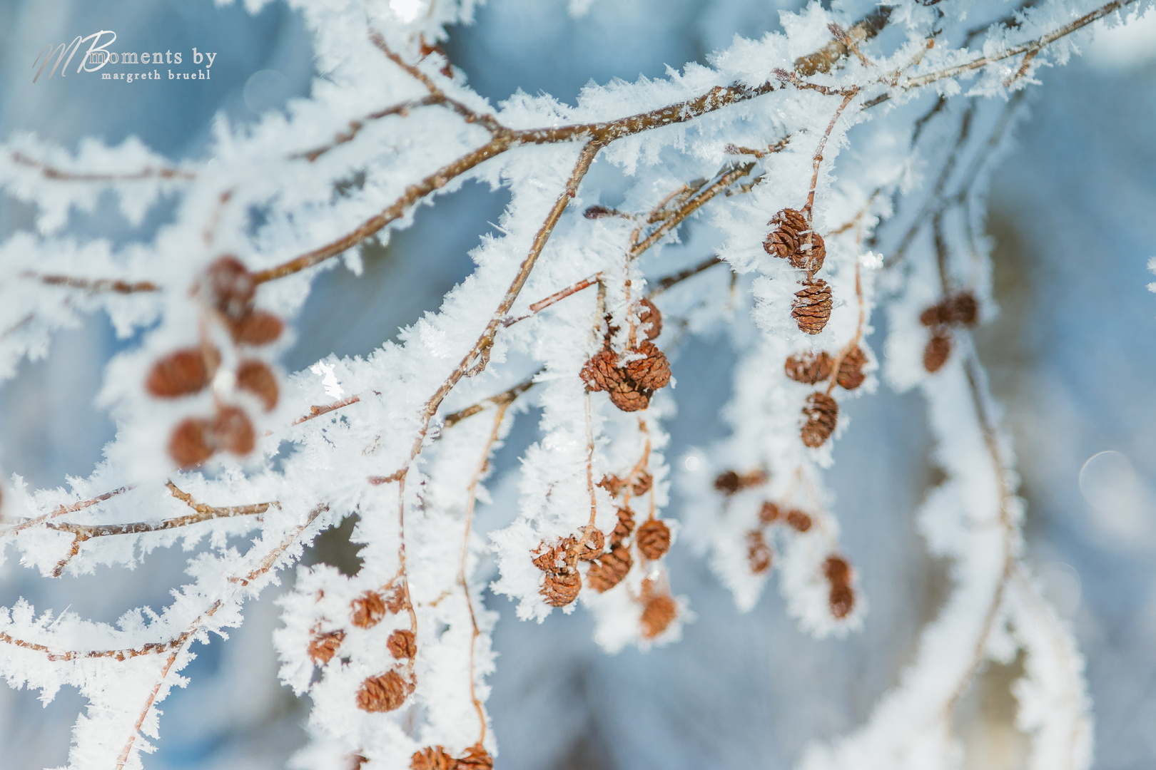 Winterfreude