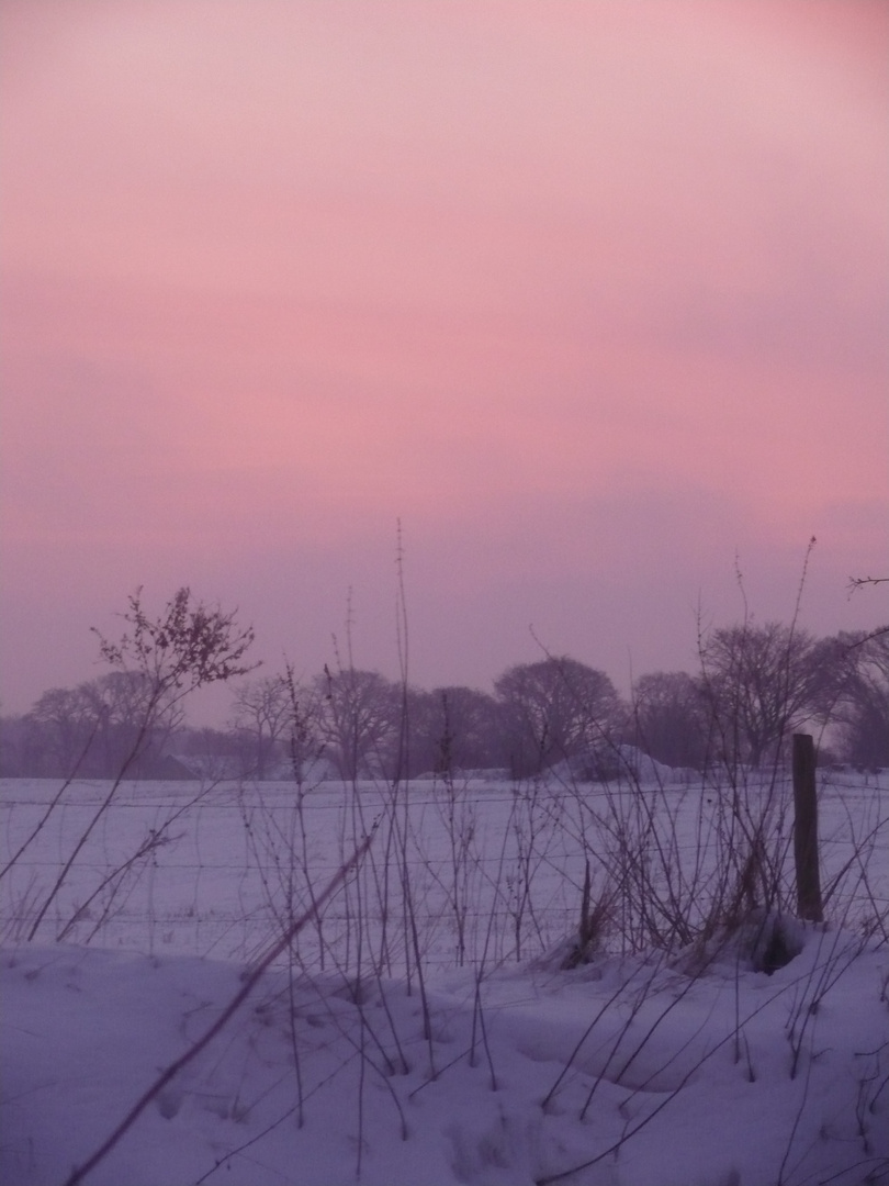 Winterfreude