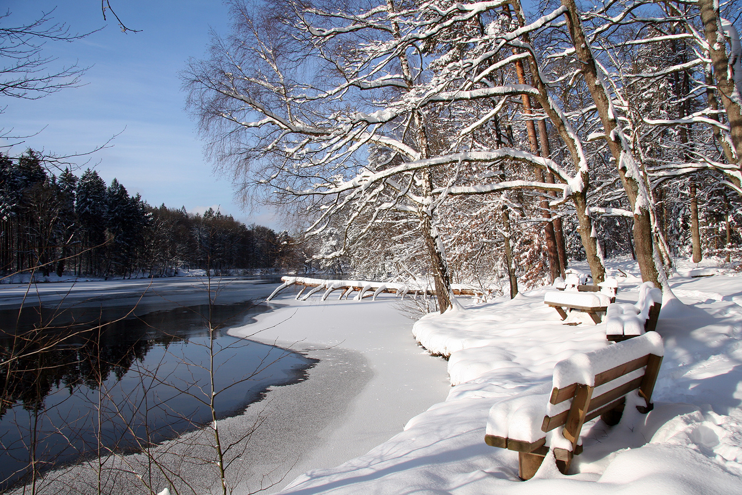 Winterfreude