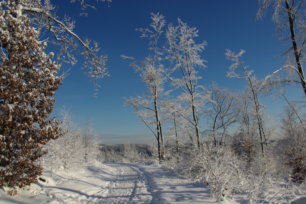 Winterfreude