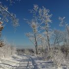 Winterfreude