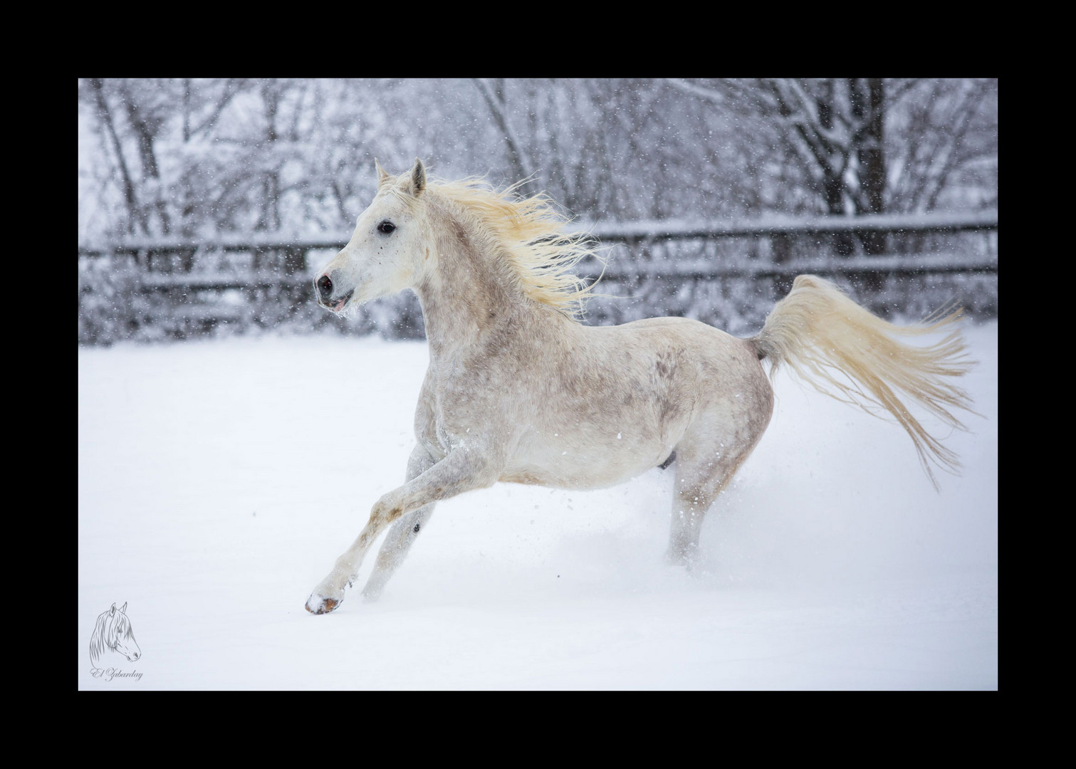 Winterfreude