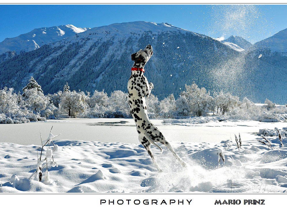 Winterfreude