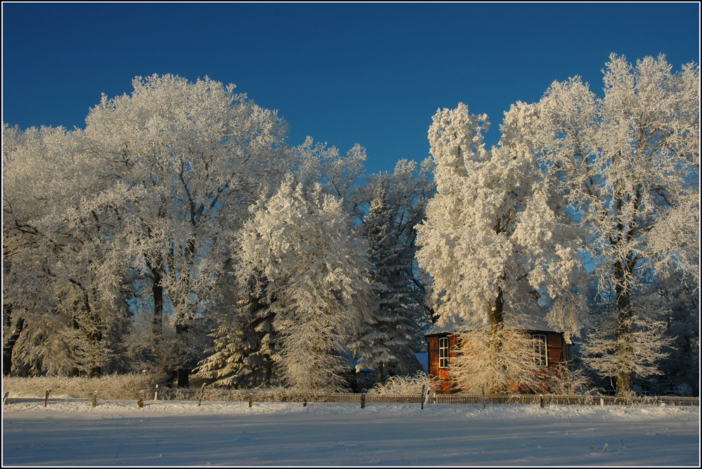 Winterfreude.......