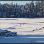 Winterfreuden ...