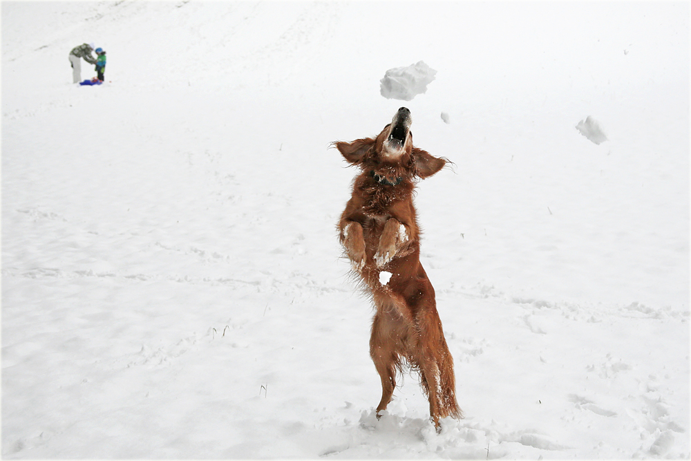 Winterfreuden