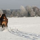 Winterfreuden