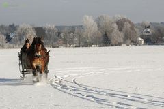 Winterfreuden