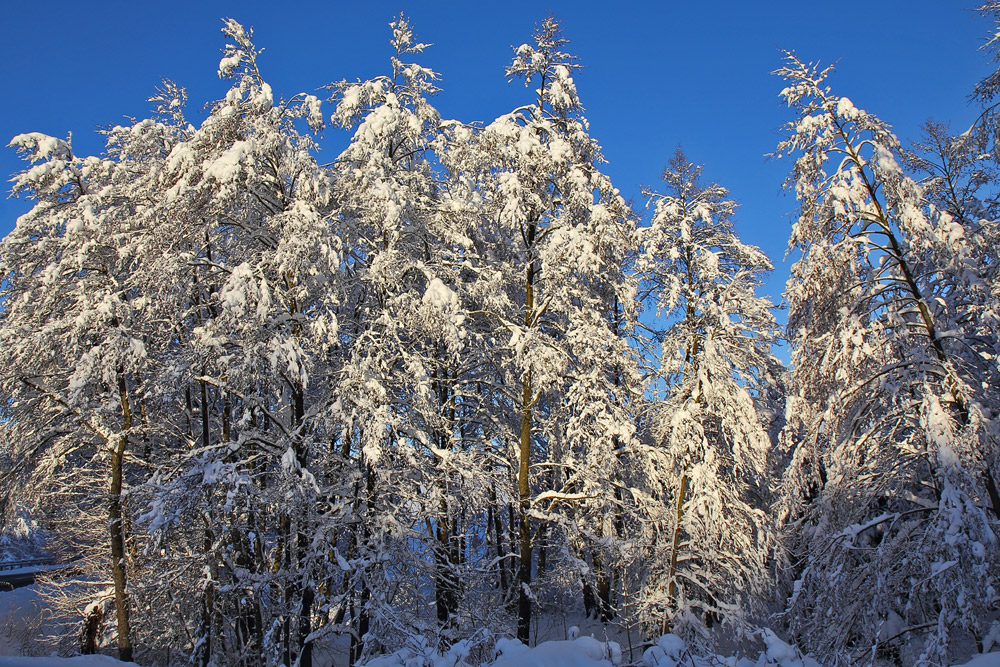 Winterfreuden 10