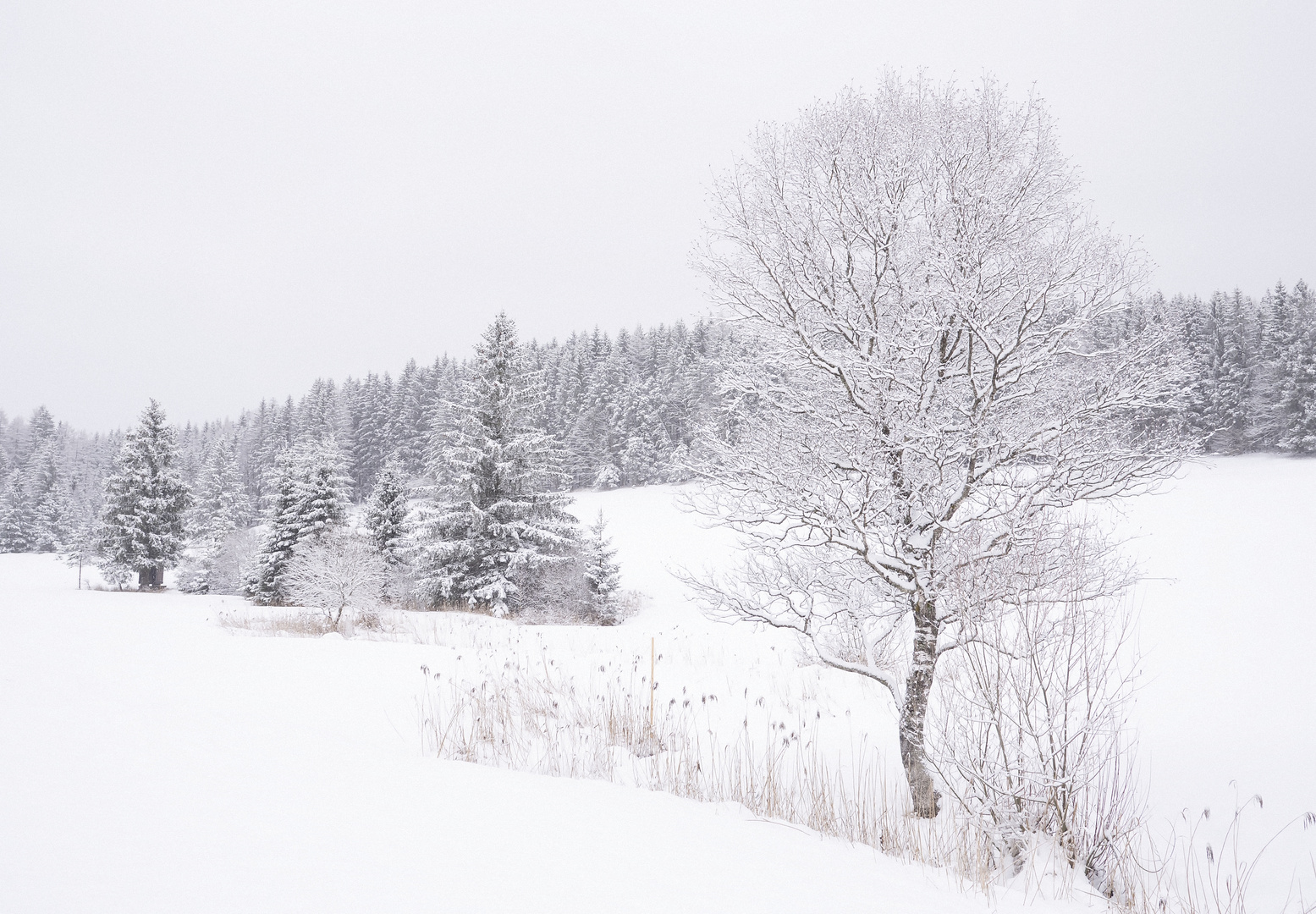 Winterfreuden