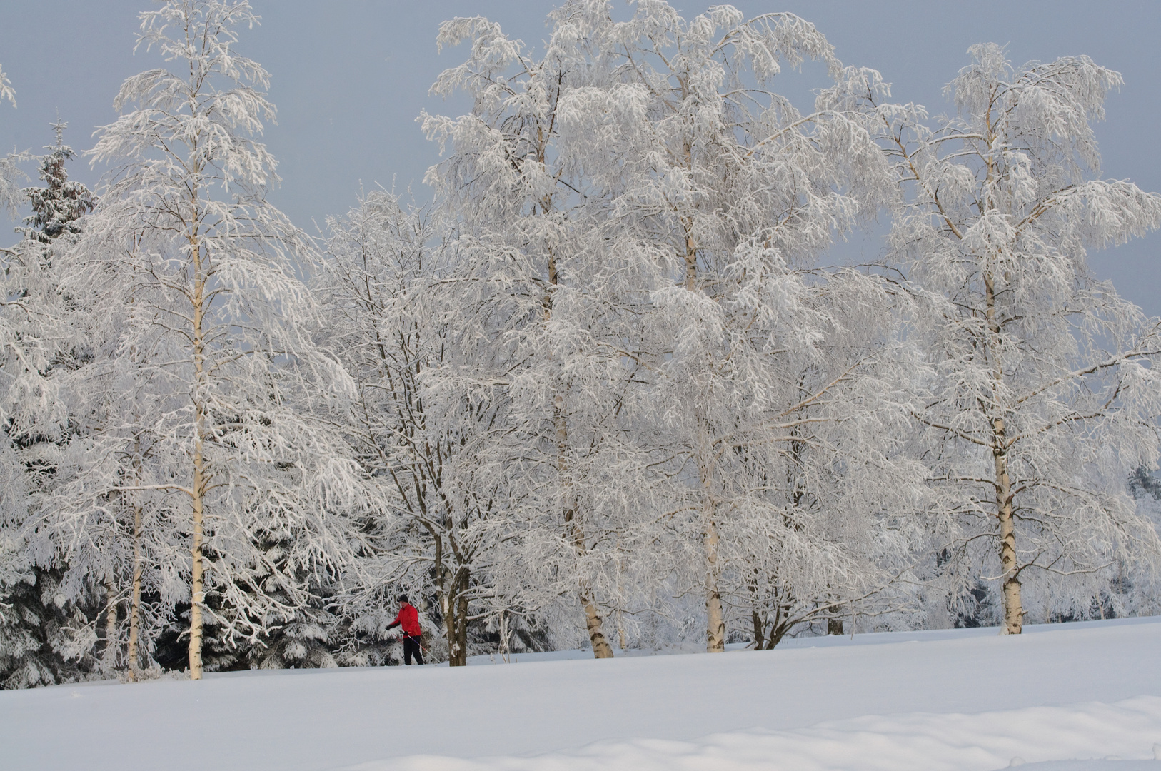 Winterfreuden