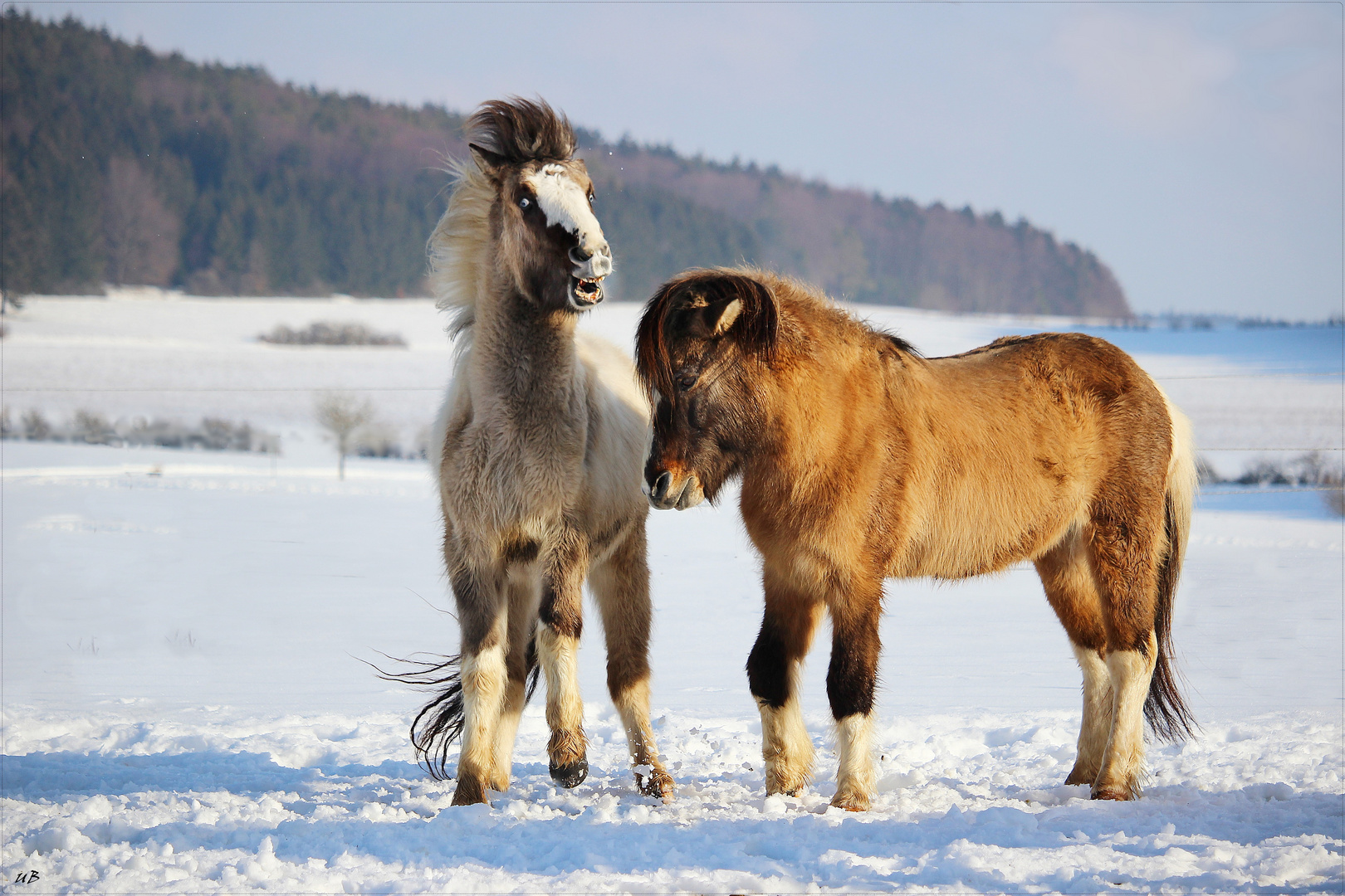 ... Winter.Freuden ...