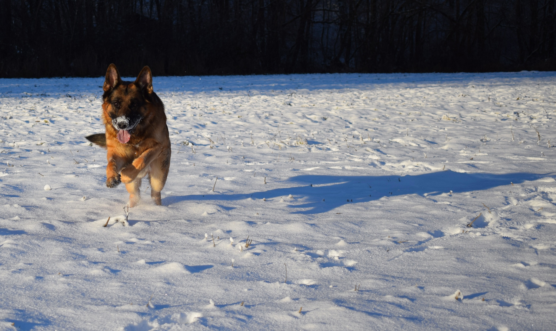 Winterfreuden