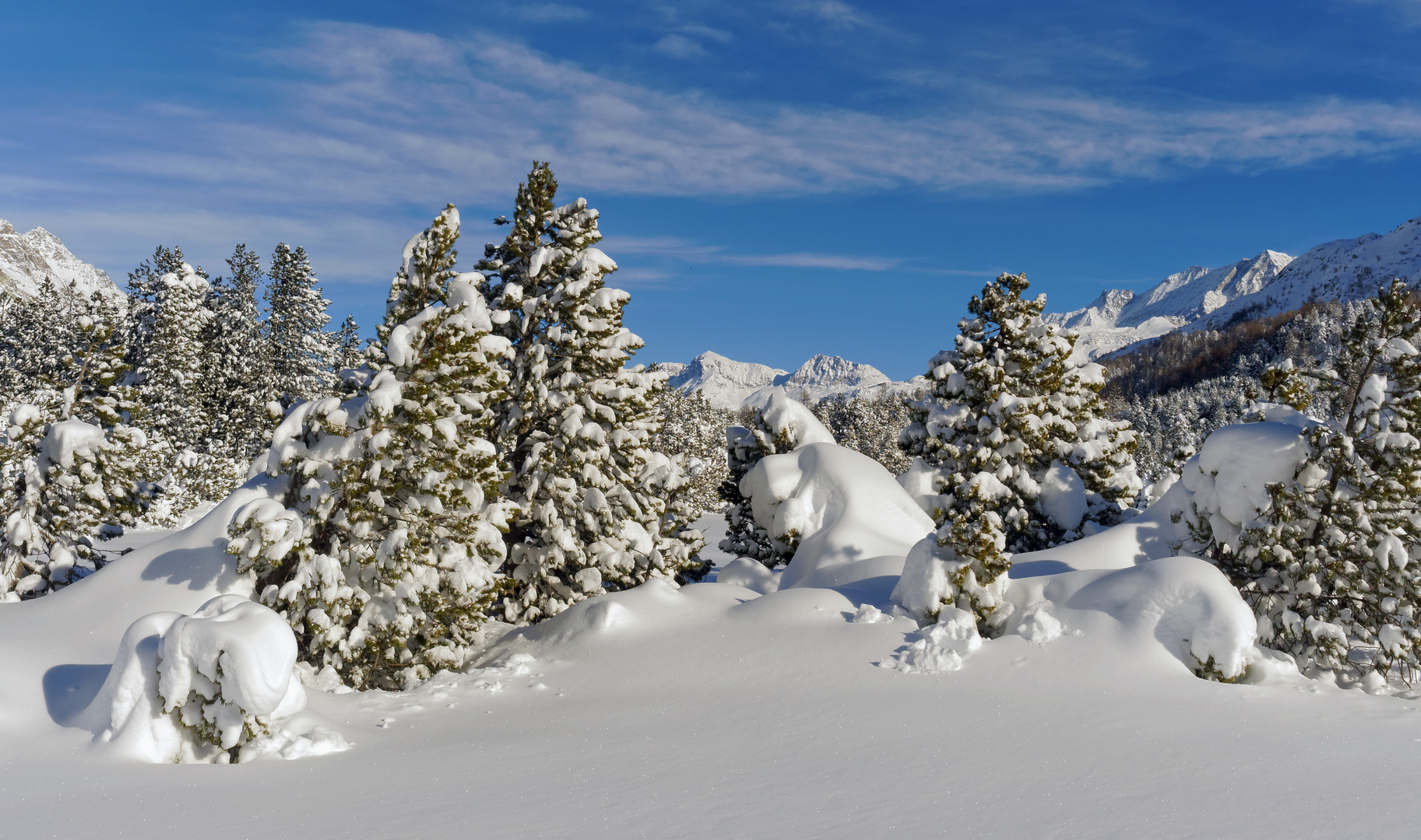 Winterfreuden 2