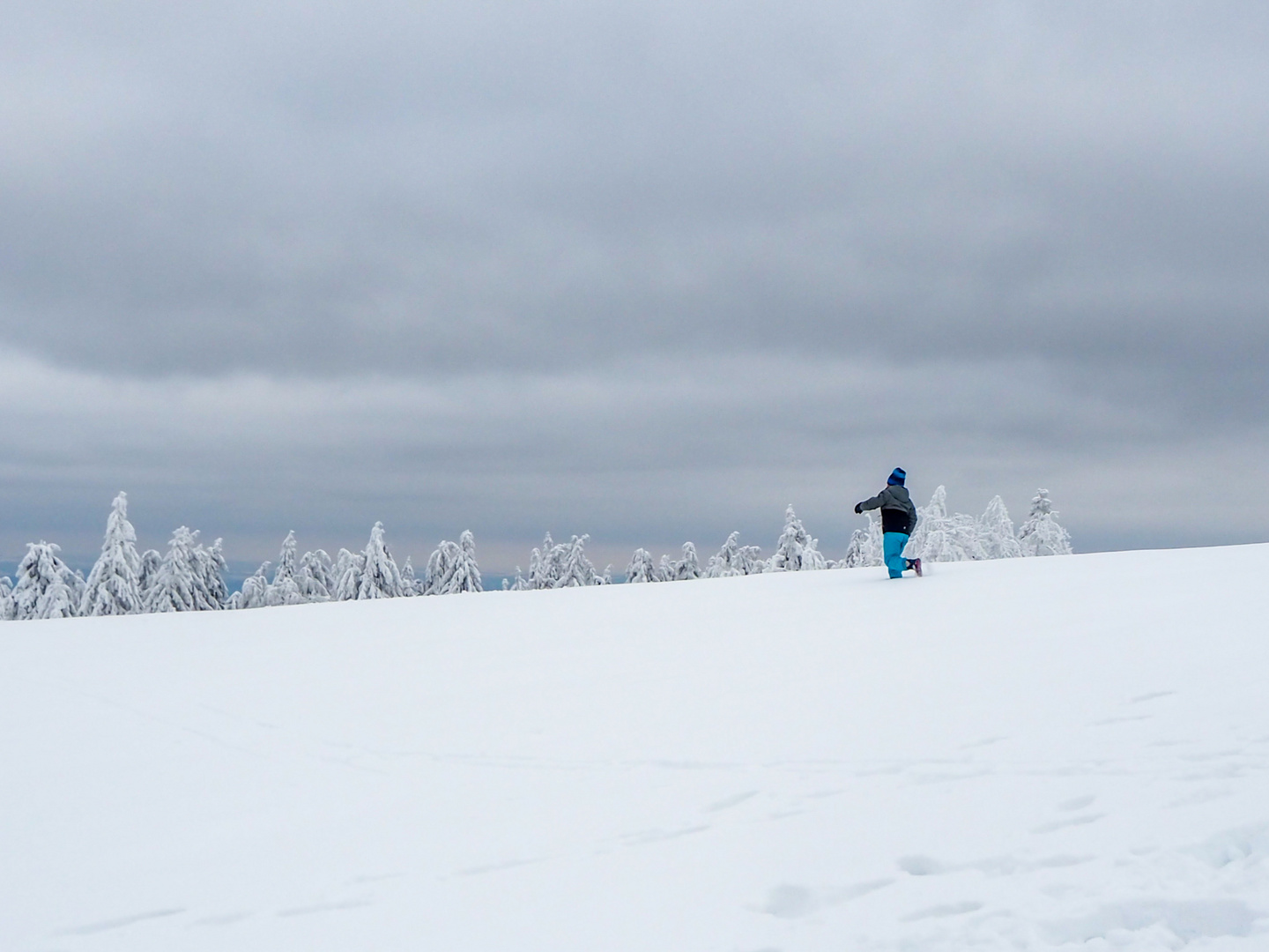 Winterfreuden 2