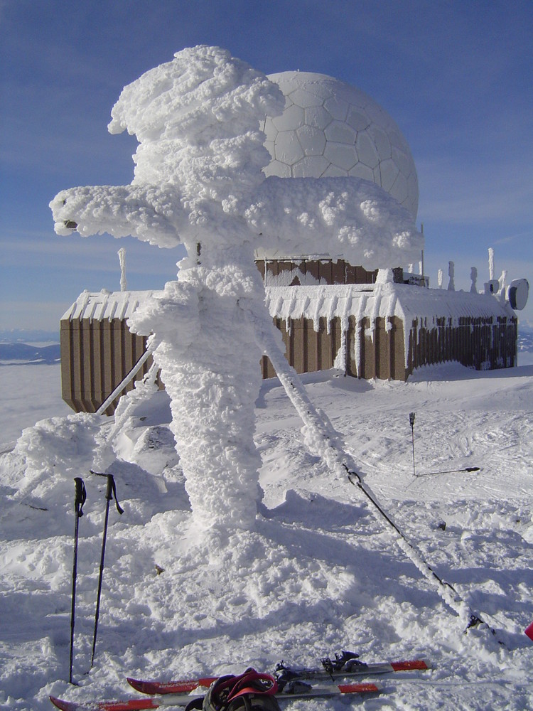 Winterfreuden