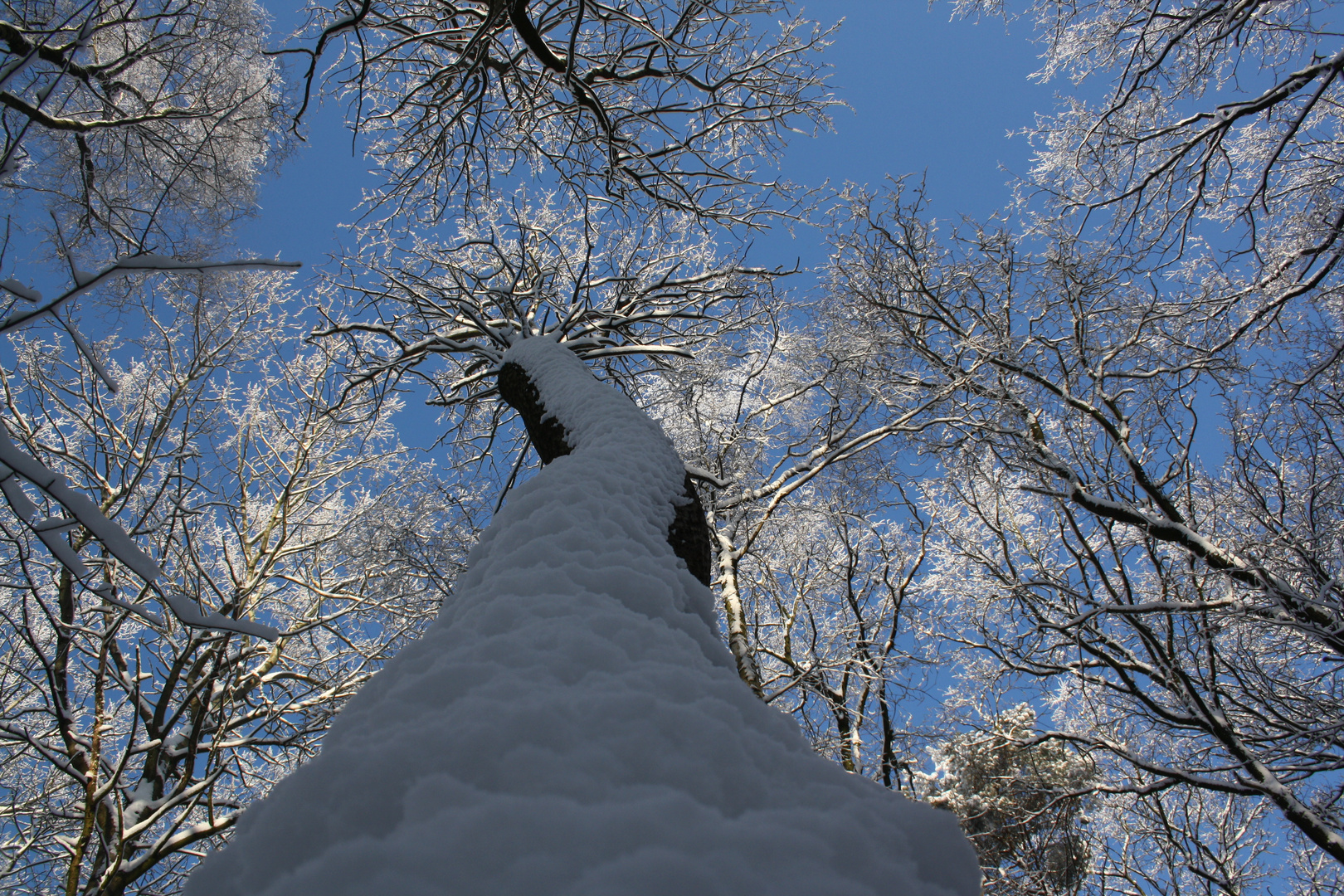 Winterfreuden