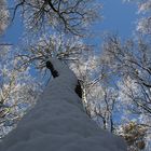 Winterfreuden