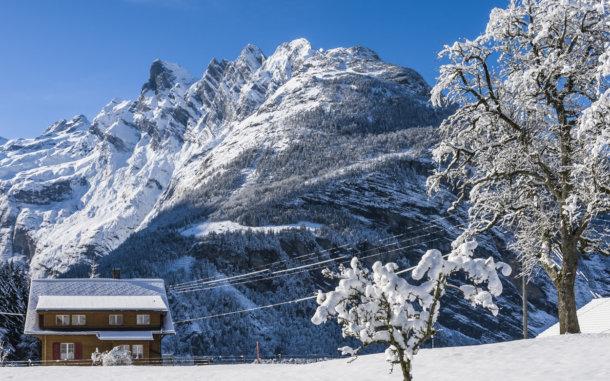 Winterfreuden