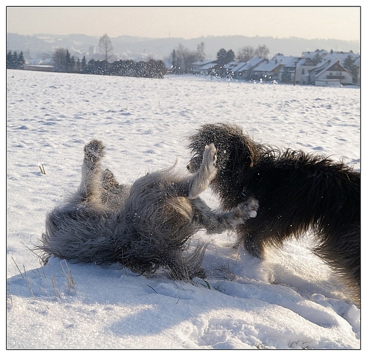 Winterfreuden