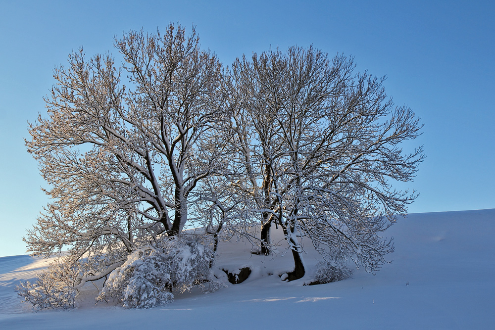 Winterfreuden 3