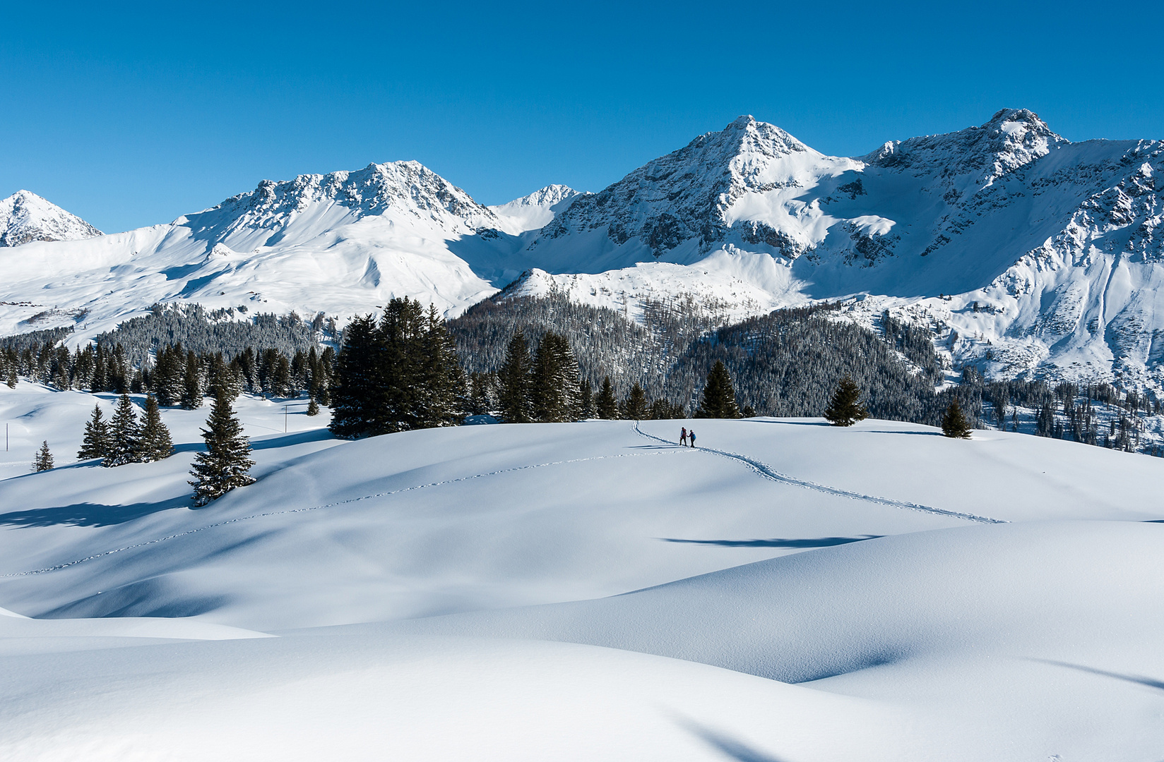 Winterfreuden