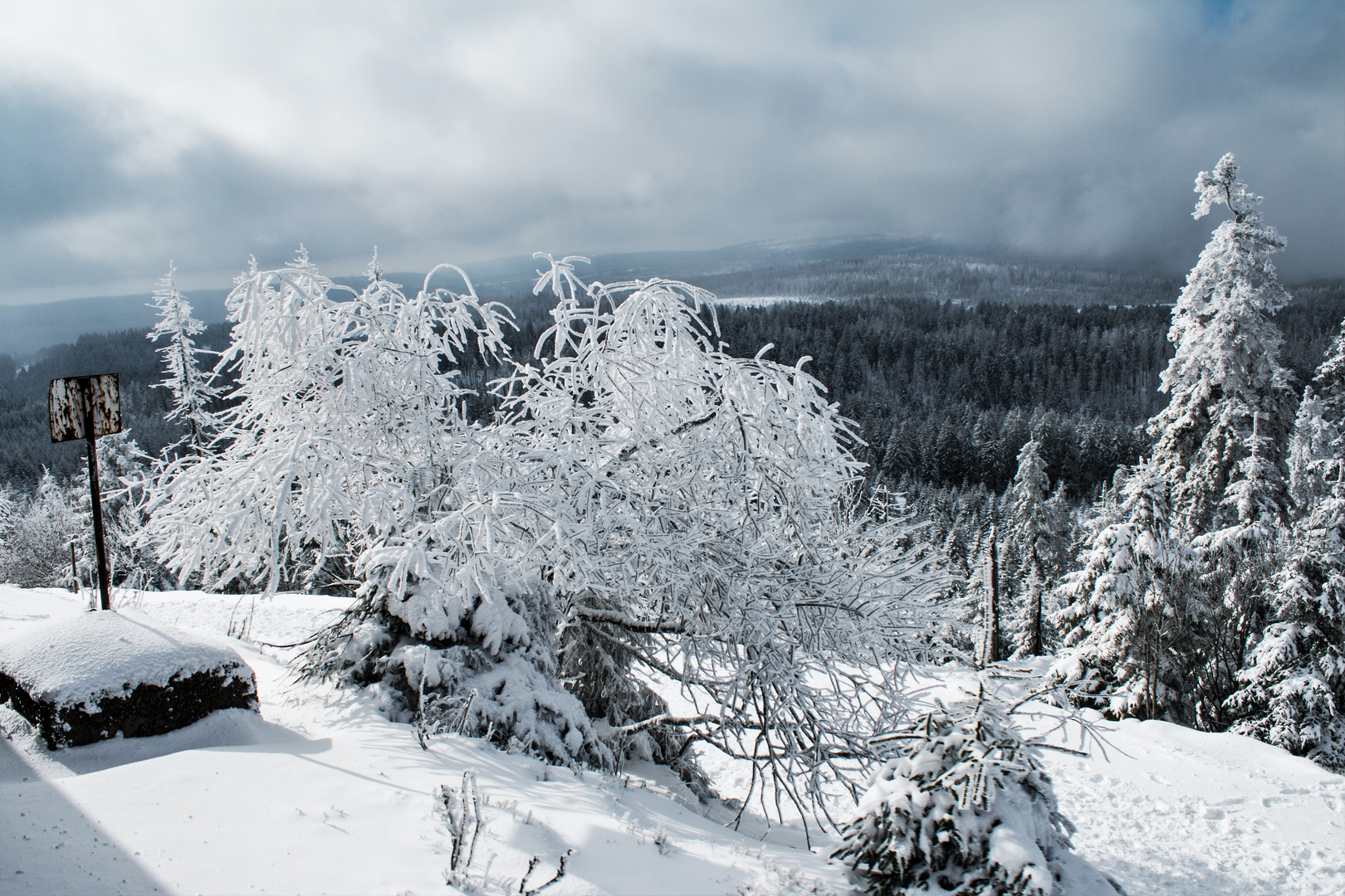 Winterfreuden...