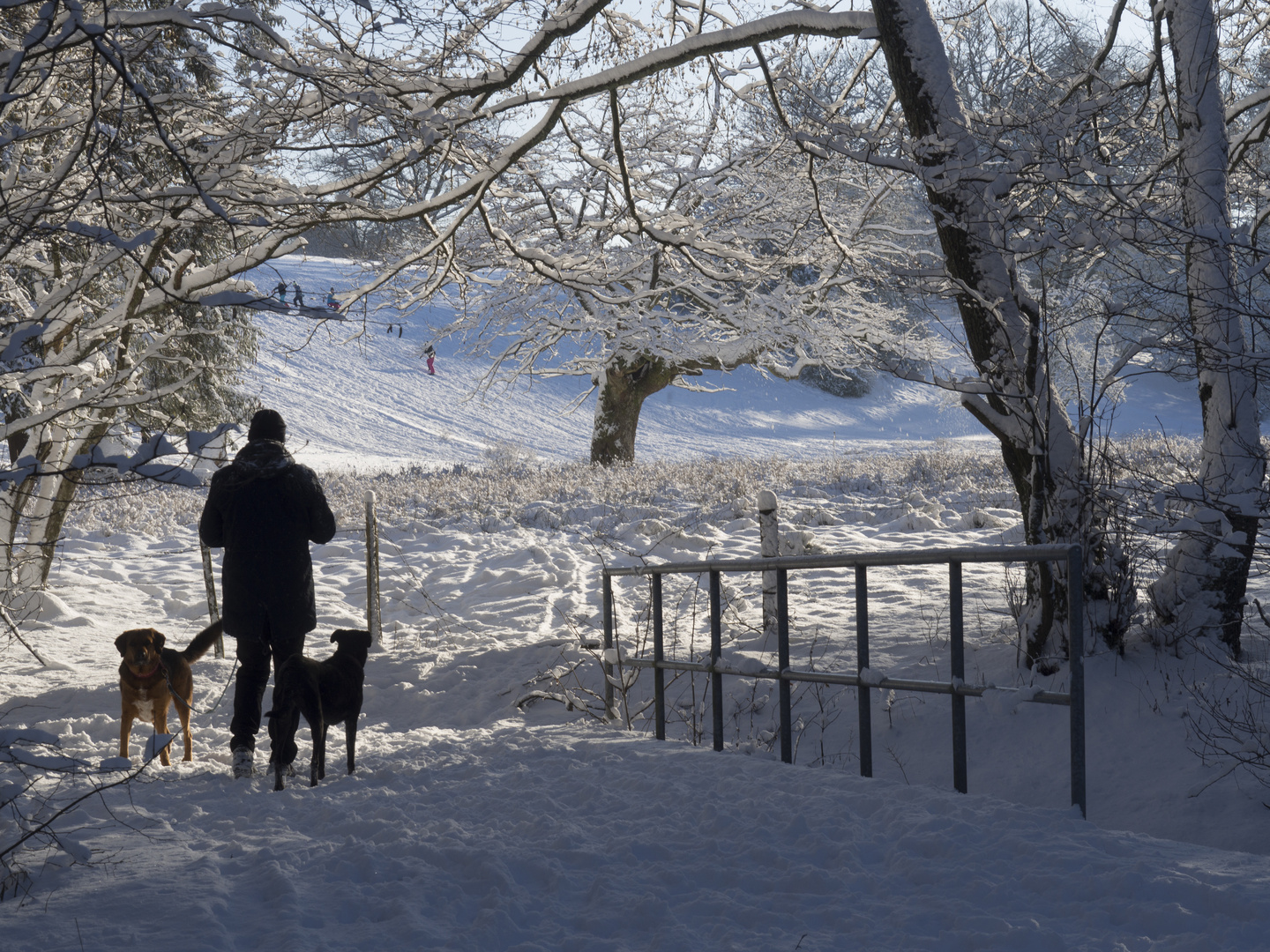 Winterfreuden