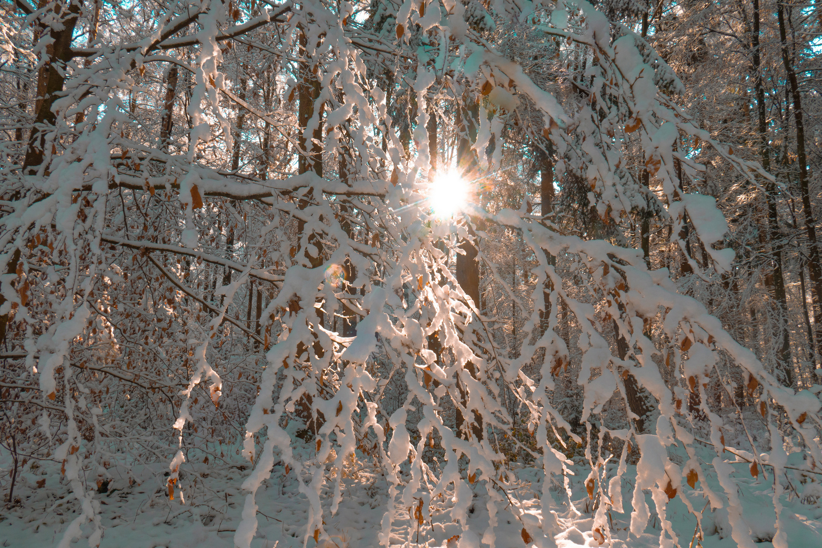 Winterfreuden