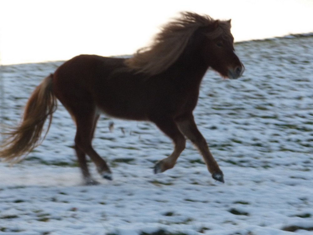 Winterfreuden