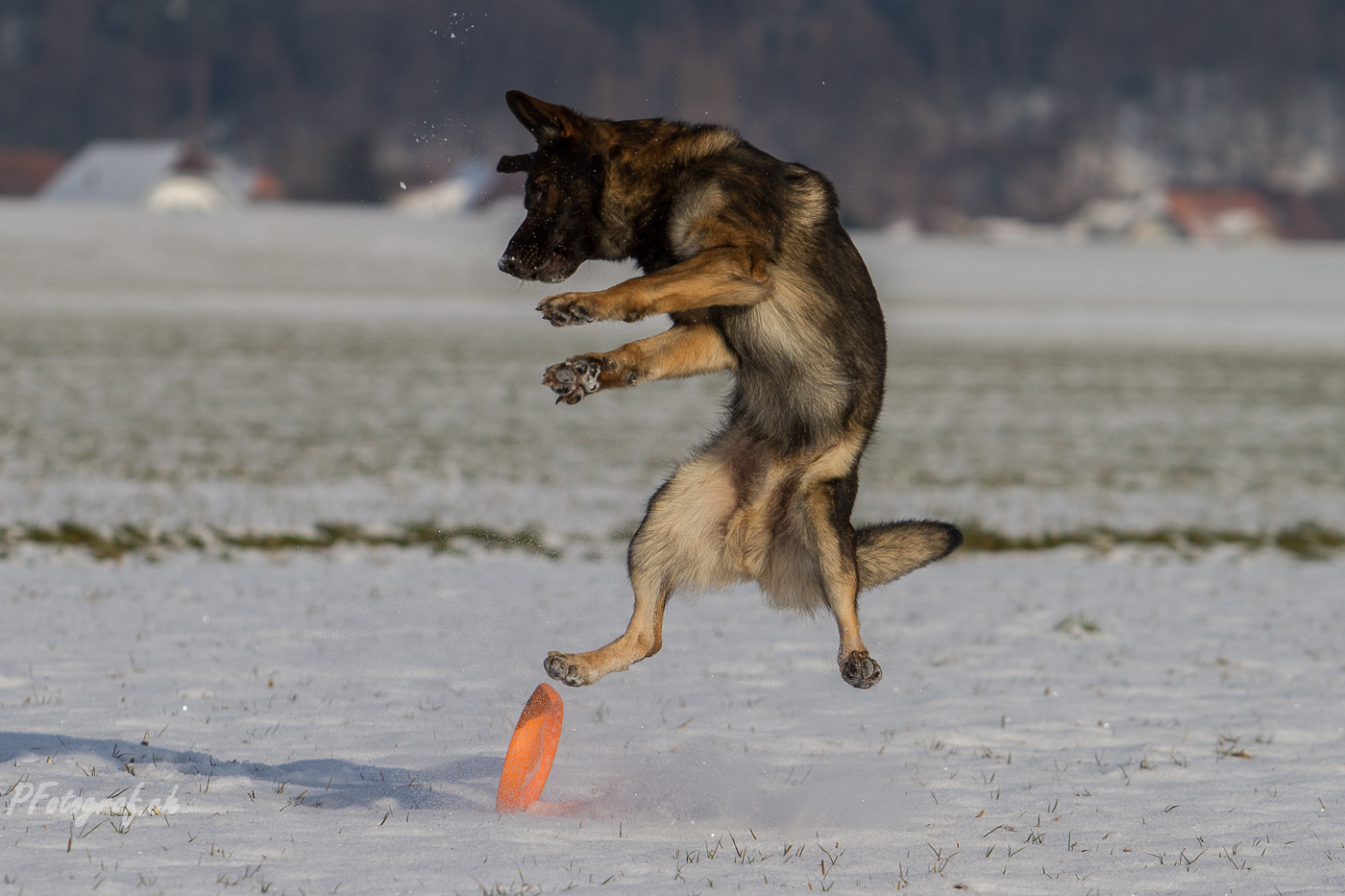 Winterfreuden