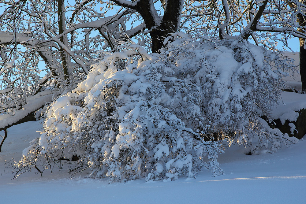 Winterfreuden 5