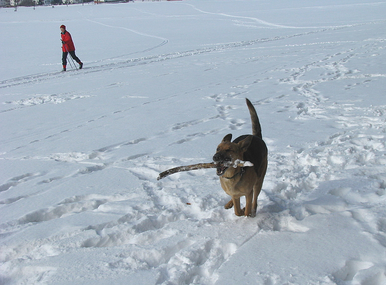 Winterfreuden