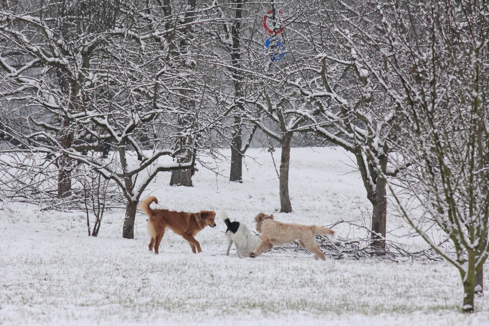 Winterfreuden