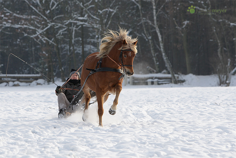 Winterfreuden