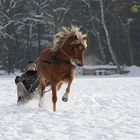 Winterfreuden