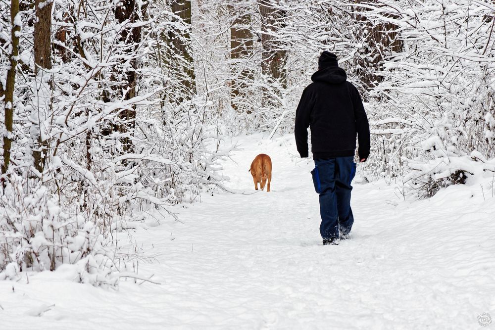 Winterfreuden