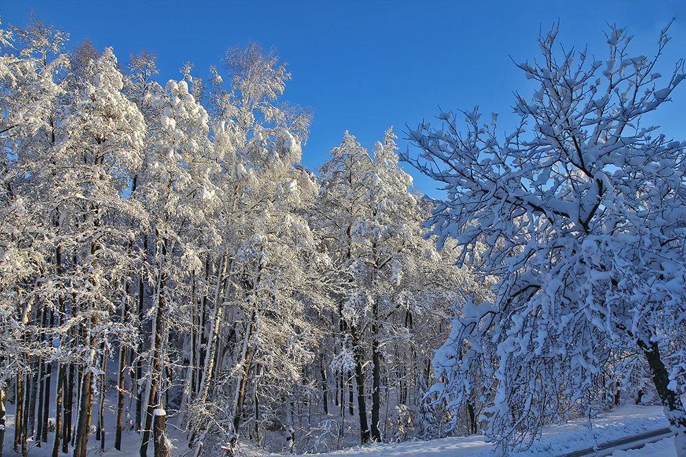 Winterfreuden 7