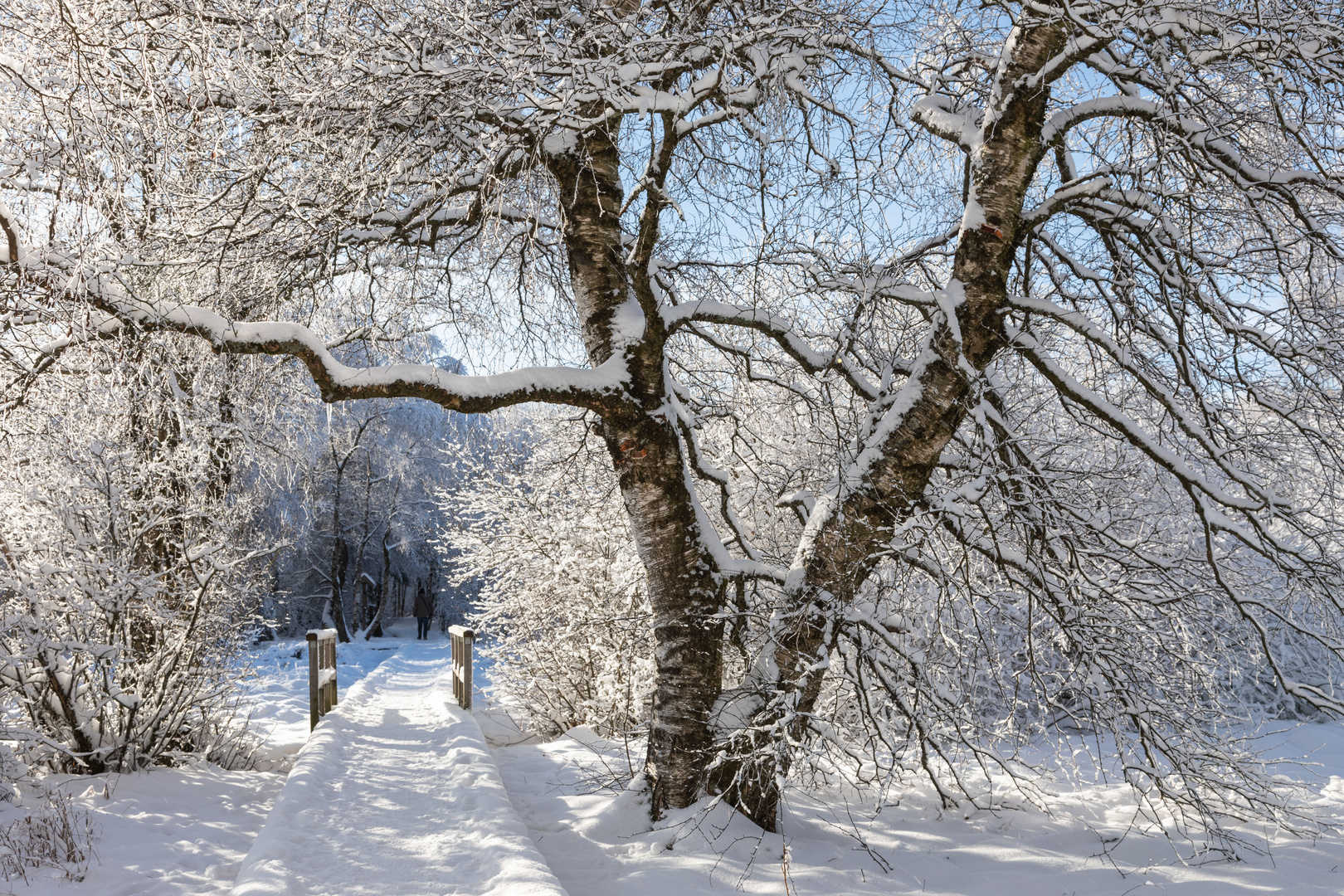 Winterfreuden