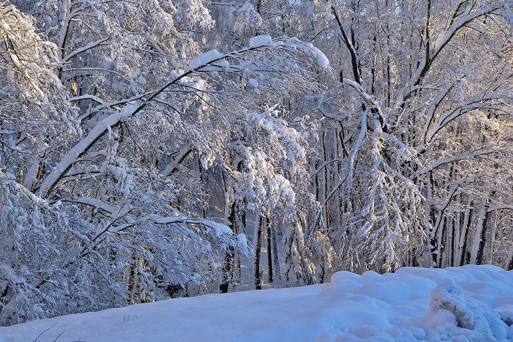 Winterfreuden 9