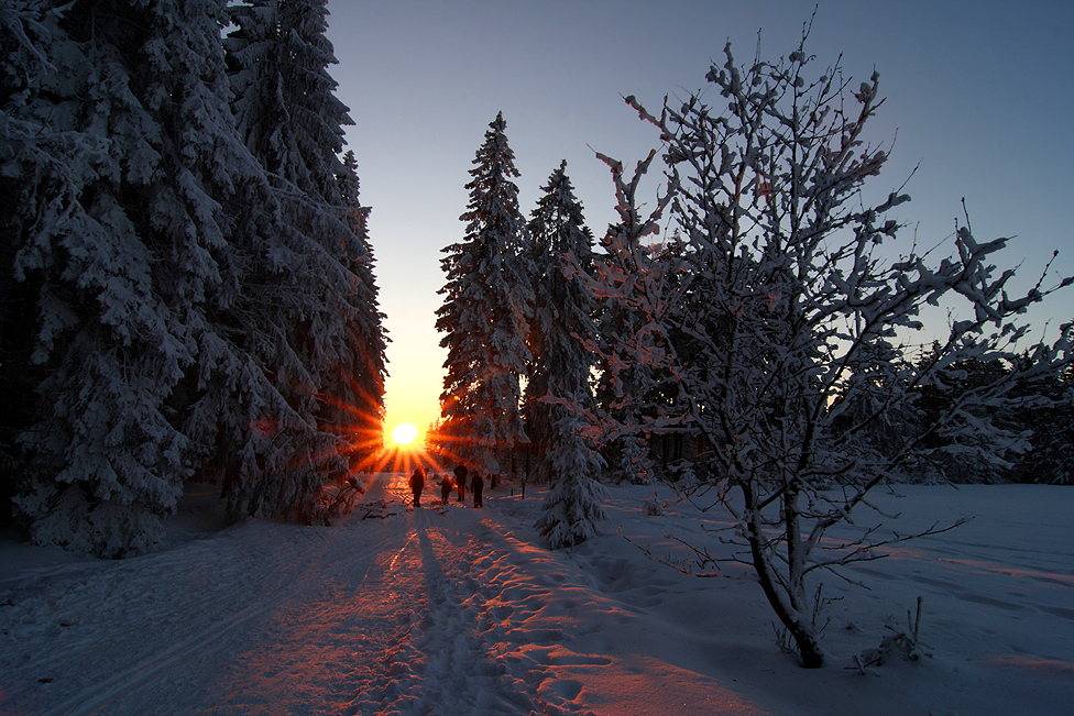 ~ Winterfreuden ~