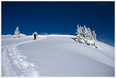 Winterfreuden