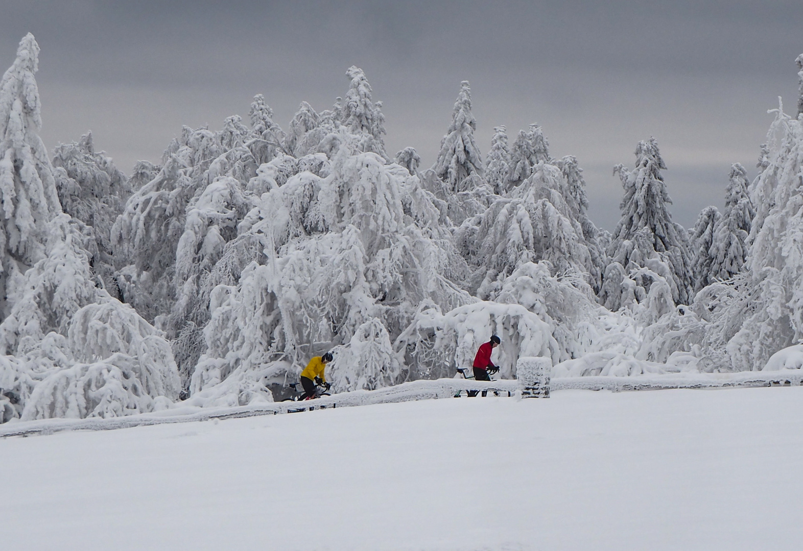 Winterfreuden