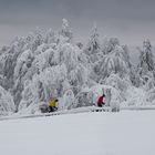 Winterfreuden