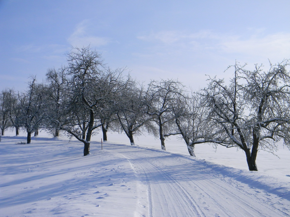 Winterfreuden