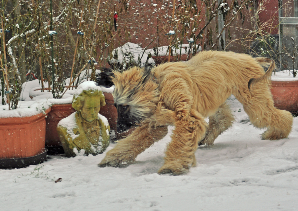 Winterfreuden