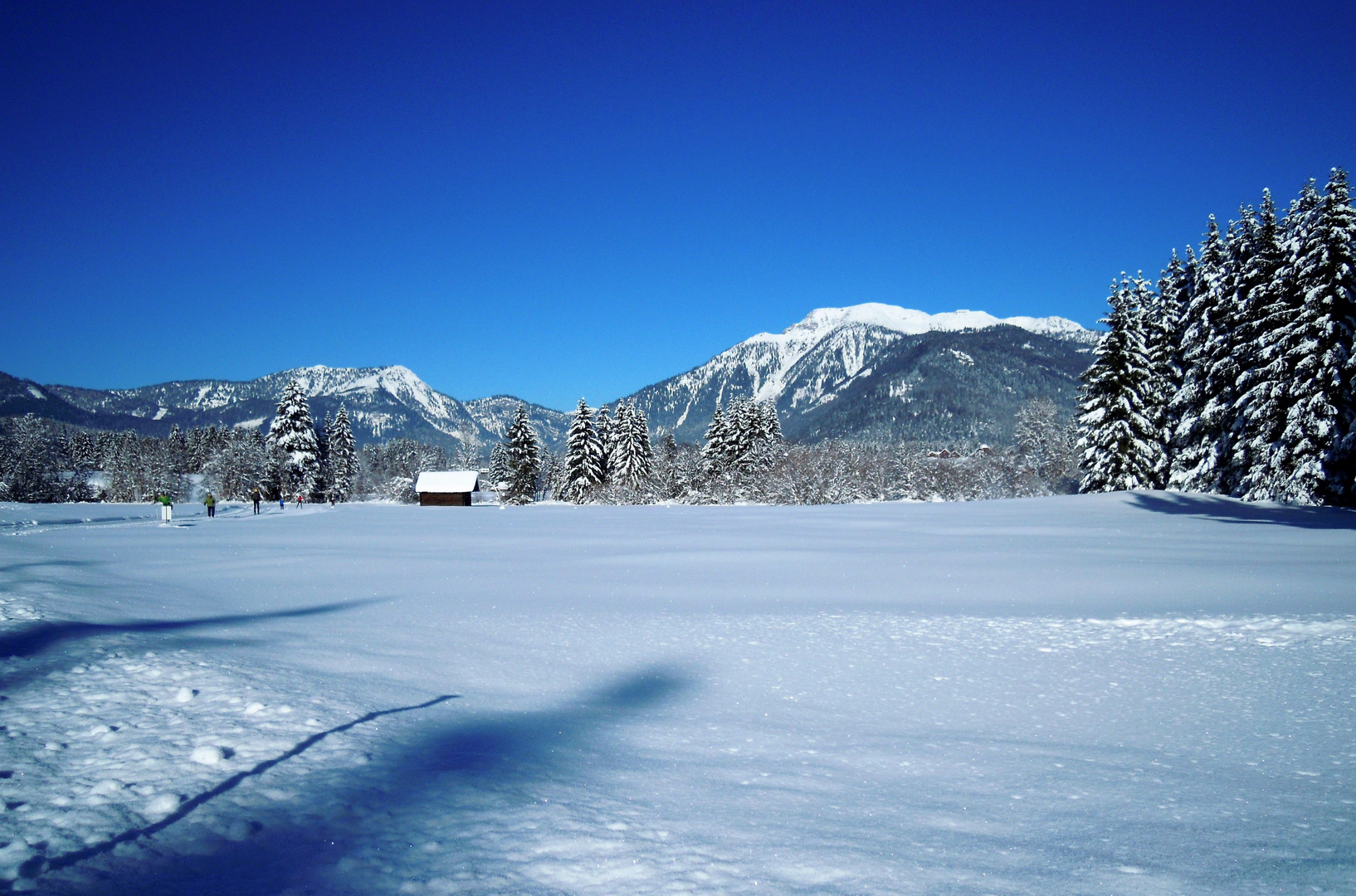 Winterfreuden