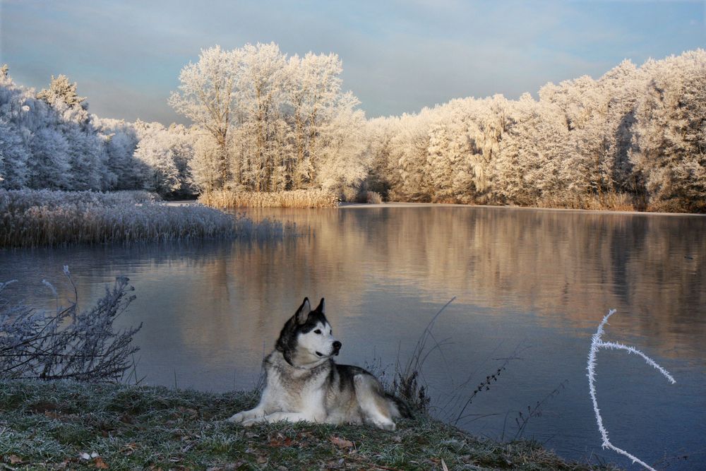 Winterfreuden